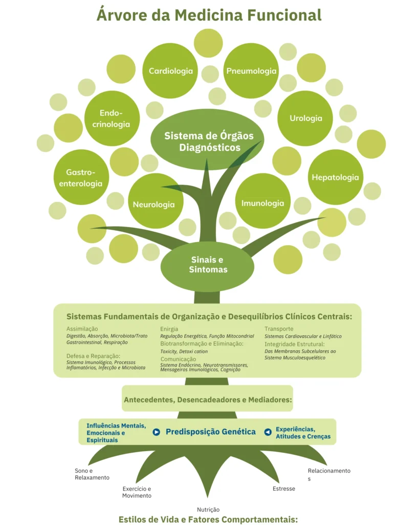 Arvore Medicina Funcional